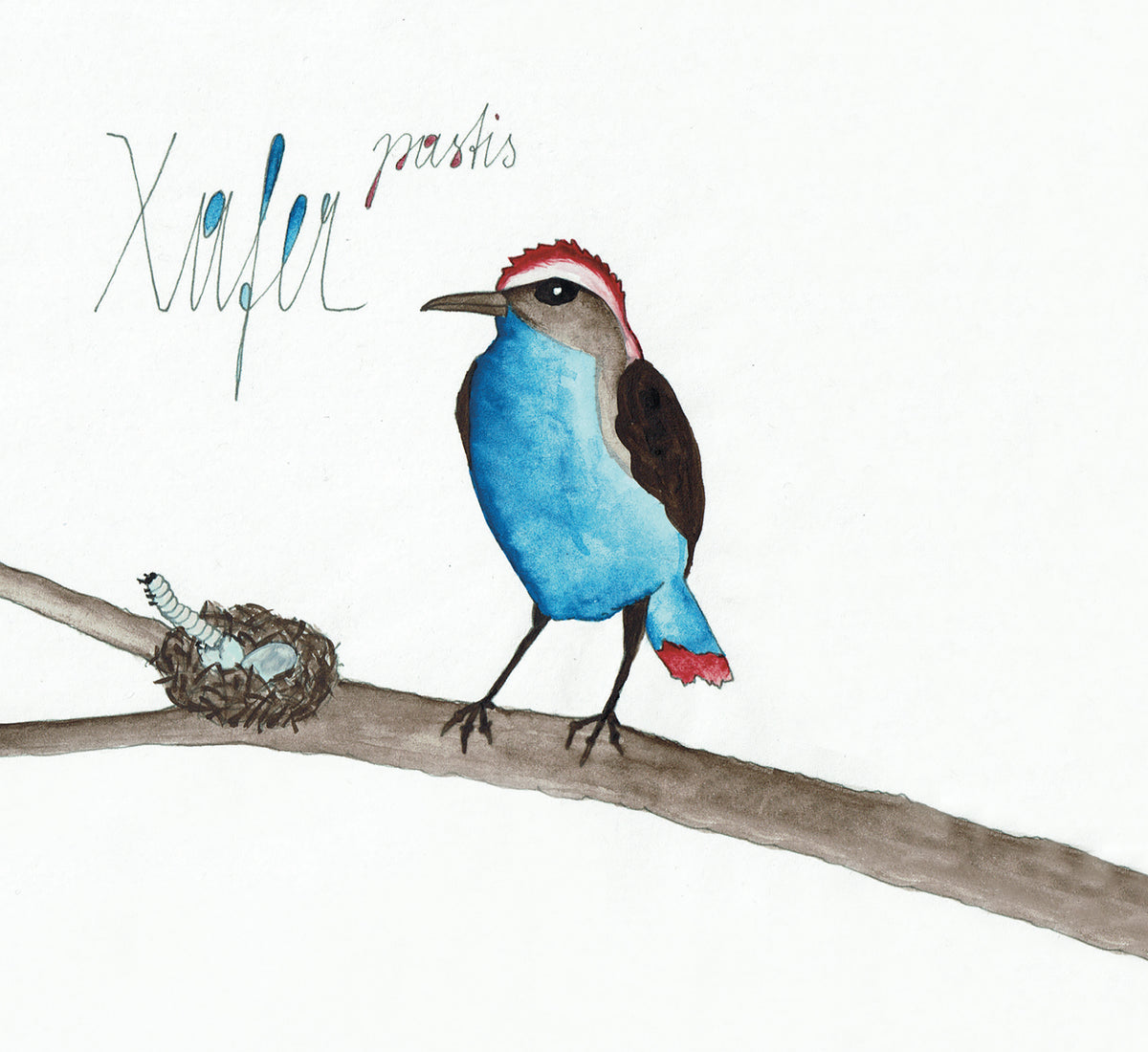 Xafer - pastis